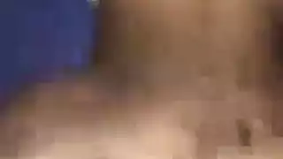 قرع شمام خطوط تان