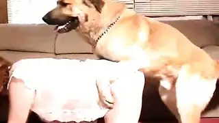 شريط سكس كلب عنيف: قضيب كلبي ينيك أنثى راغبة بعنف