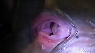 يوم مكرس لمشاهدة الإباحية الصريحة المجانية بشكل متواصل