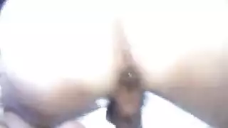 كحلوشه تونسیه