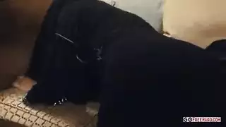 العاهرة المحجبة نادية علي تأخذ قضيب الأمير العربي الصلب