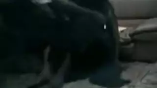 سحبت فاتنة أفريقية شابة استغل من قبل طبيب برازيلي