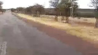 سكس جزائري صحراوي مليح و فتاة سمرة نياكة و ترضع و حتشونها حلو