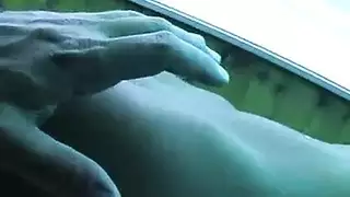 تركيةمنزلي