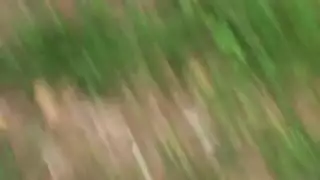 دمية جنسية إسبانية بجسم قاتل تأخذه بعمق