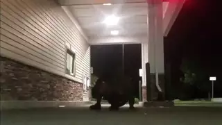 إظهار قضيب علني: استمناء عند ماكينة البنك