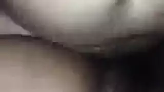 متين وديده عود