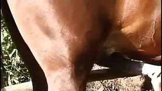 فتات نحيفه وزب ضخم في بطنها