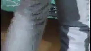 فتيات مثيرة تمص القضيب لأقصى متعة