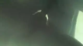 سكس اجنبي بدينات مجاني بدون تحميل