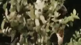 ebony stud unleashed: deep anal and rough sex