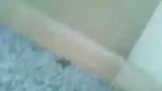 extreme beastiality fetish rough action