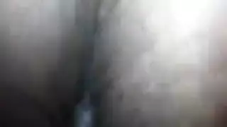 فتحات متوحشة: ممارسة الجنس كالحيوانات