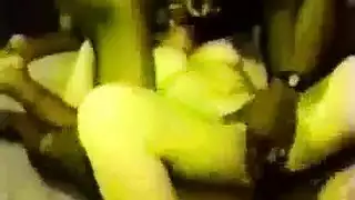 مشهد إباحي لثدي كبير