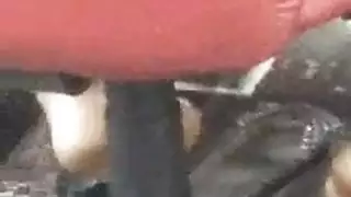 منظار الحلمات