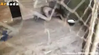 دمية جنسية أسيرة تستخدمها قضبان الوحوش