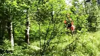 رفيق بدائي: تداعي جماعي على الطريقة الحيوانية الوحشية