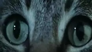 ماردي غرا غنيمة سراويل