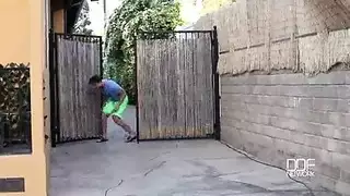 الاستلقاء تحت أشعة الشمس شاعر تجميع قبو