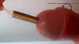 لمو بتنام جمبو ونكه