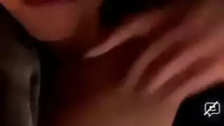 مجعد مشعر الهرة قلص الكورية